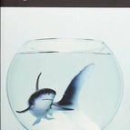 Requins d'eau douce - Heinrich Steinfest - livre