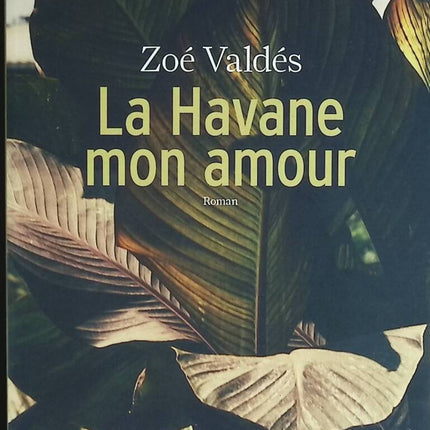 Havanna, meine Liebe – Zoé Valdés – Buch