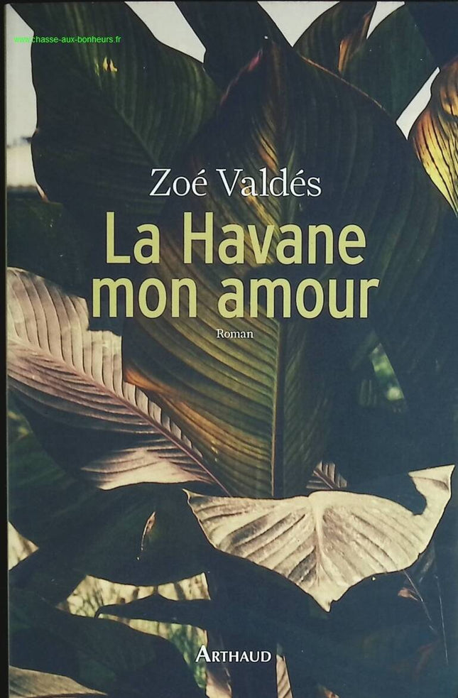 Havanna, meine Liebe – Zoé Valdés – Buch
