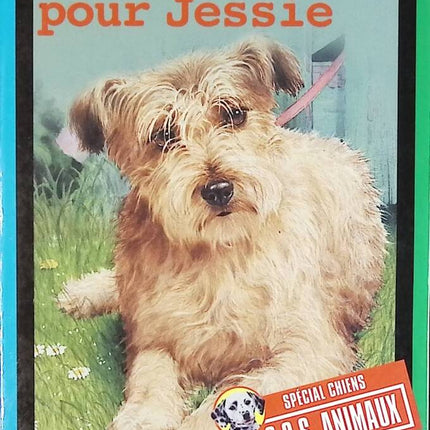 Ein Meister für Jessie - Jenny Dale - Buch