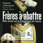 Brothers to be slaughtered - Takeover of the Grand Orient of France - Hugues Leforestier - book