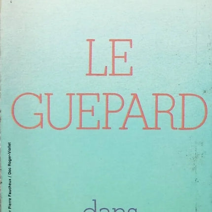 Der Professor und die Meerjungfrau – Giuseppe Tomasi di Lampedusa – Buch