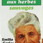 A Wild Herb Soup - Emilie Carles - book