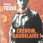 Verdammt, Baudelaire! - Jean Teulé - Buch