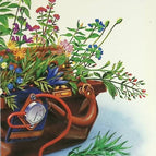 Mini-Enzyklopädie der Naturheilmittel - Georges Millanvoye - Buch
