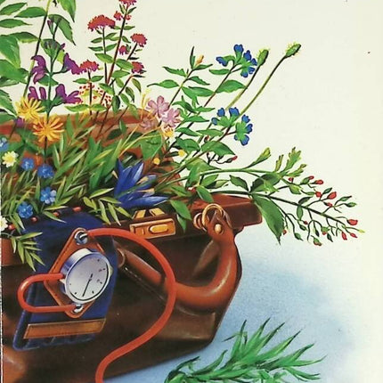 Mini-Enzyklopädie der Naturheilmittel - Georges Millanvoye - Buch