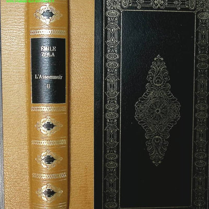 L'assommoir Tome 2 - Emile Zola - livre