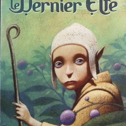 Le Dernier Elfe - Silvana De Mari - livre