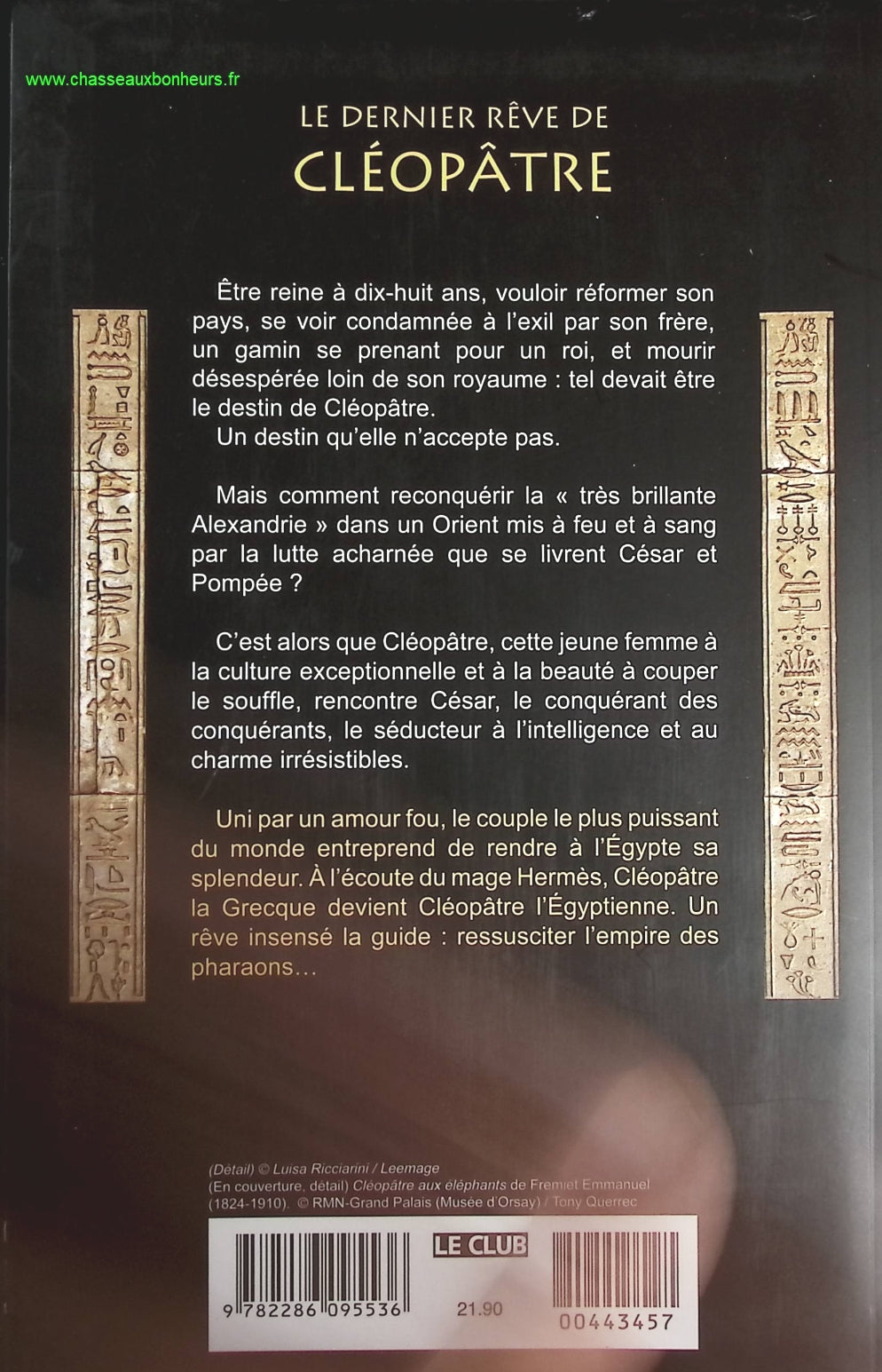 Someone Good - Françoise Bourdin - book