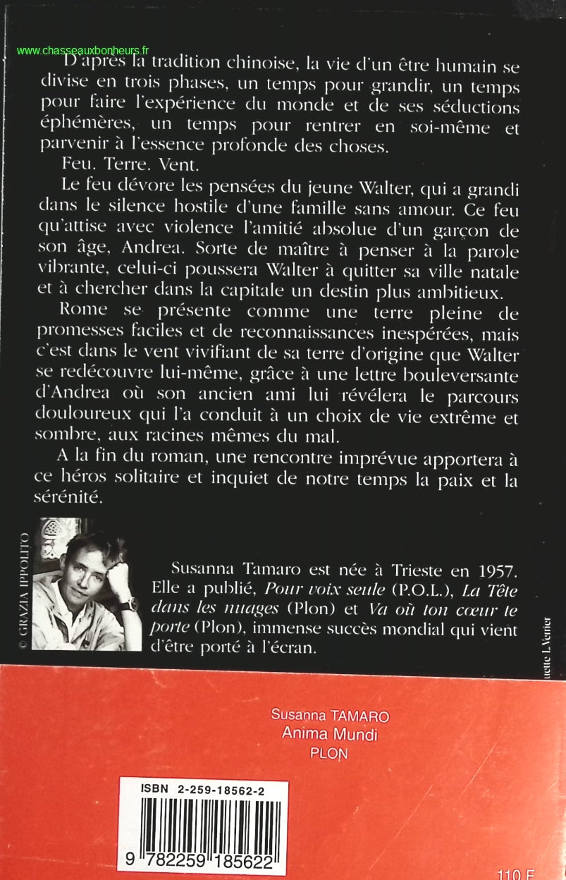 Someone Good - Françoise Bourdin - book