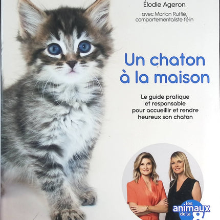Un chaton à la maison - Sandrine Arcizet - livre