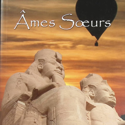 Ames soeurs - Didier Hermand - livre