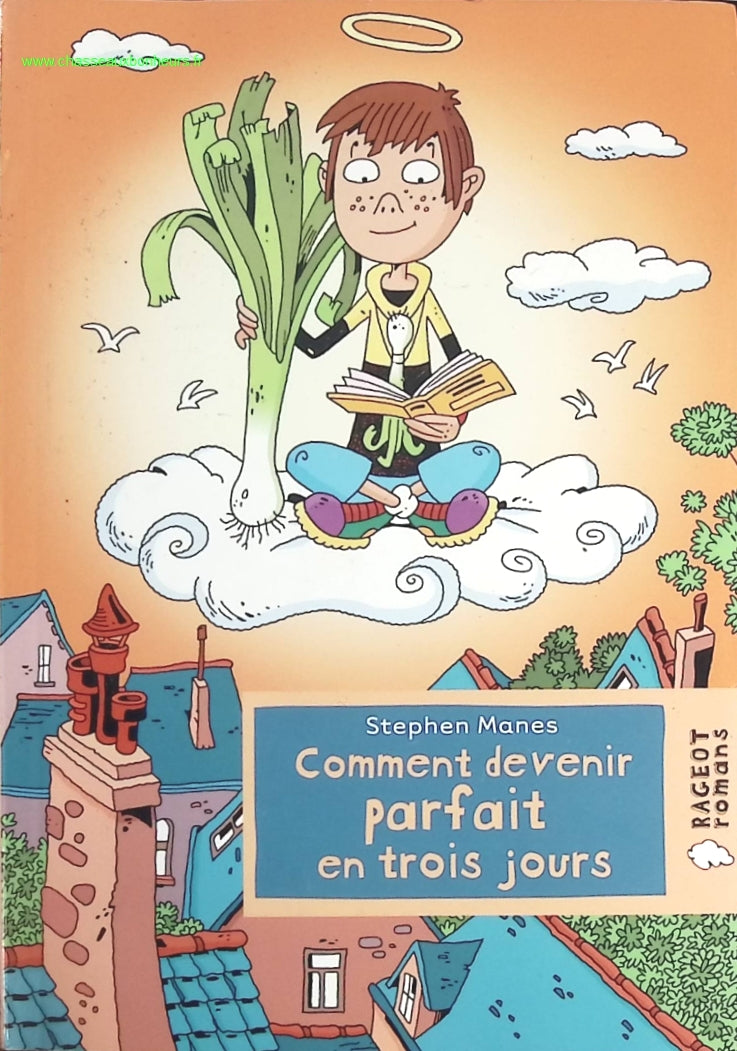 Comment devenir parfait en trois jours - Stephen Manes - livre