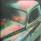 Le Canard siffleur mexicain - James Crumley - livre