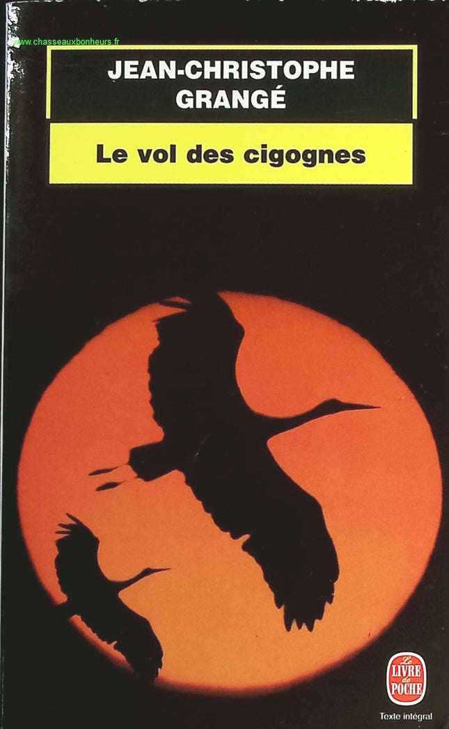 Someone Good - Françoise Bourdin - book