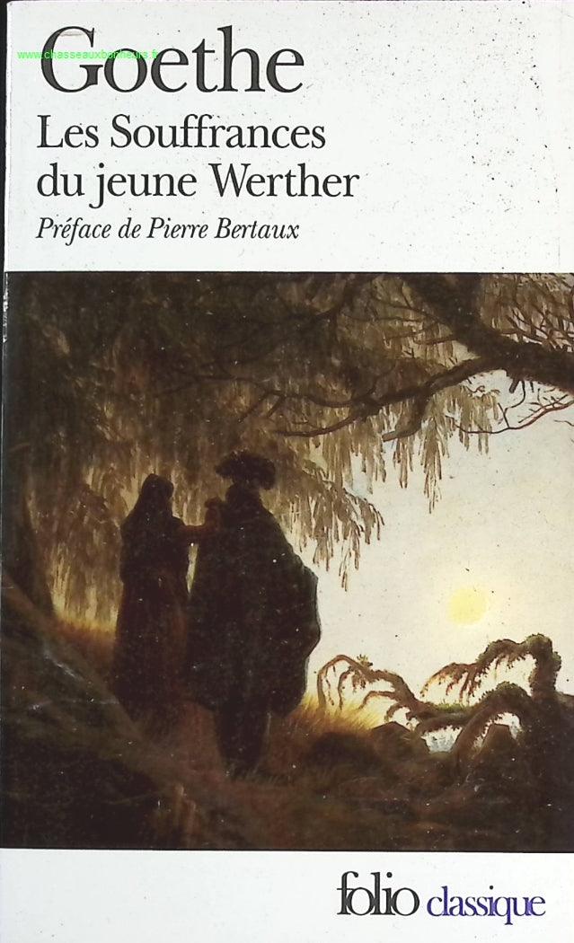 Les Souffrances du jeune Werther - Johann Wolfgang von Goethe - livre