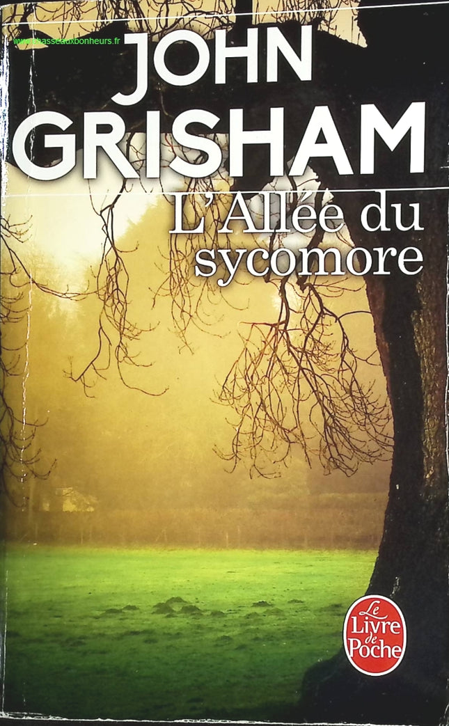The Douai Notebooks - Arthur Rimbaud - 2023 - book