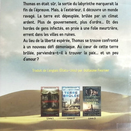 Temptation - Stephenie Meyer - Buch