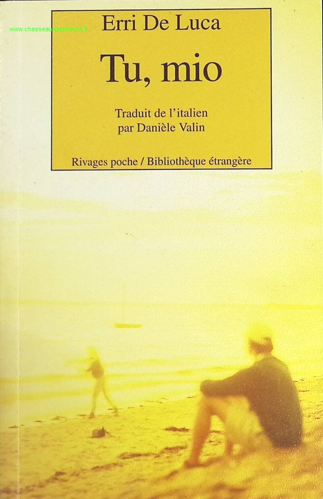 Temptation - Stephenie Meyer - Buch