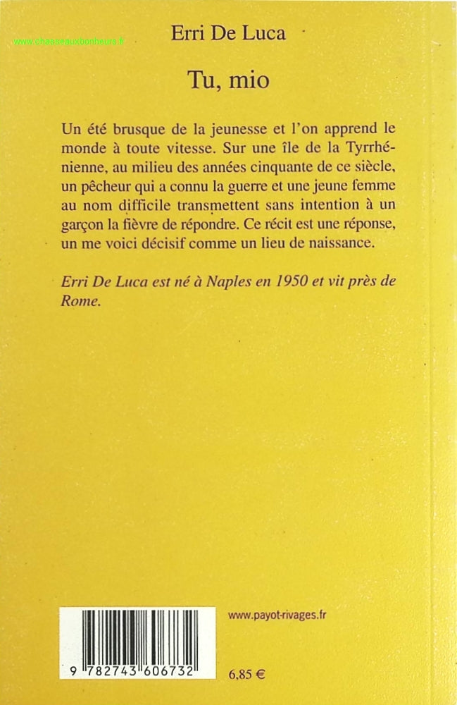 Temptation - Stephenie Meyer - Buch