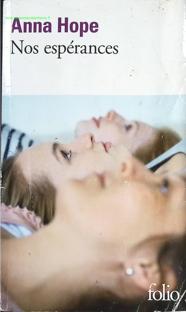 Temptation - Stephenie Meyer - Buch