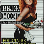 Polonaise sur chardons ardents - N° 267 - Brigade Mondaine - Gérard De Villiers - Michel Brice - livre