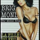 La fille du feu - N° 266 - Brigade Mondaine - Gérard De Villiers - Michel Brice - livre