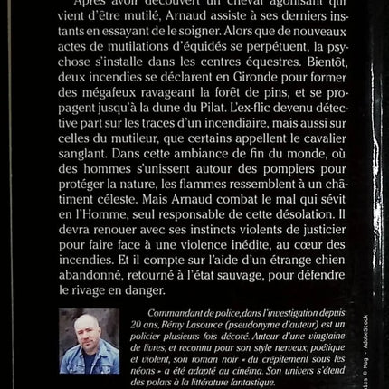 Meurtre à Biscarrosse – La cendre sur l’écume – thriller policier de Rémy Lasource – enquête, suspense et mystère sur la côte landaise - livre