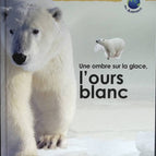 Ein Schatten auf dem Eis - Der Eisbär - Große Säugetiere - 2005 - Buch