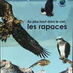 High in the sky, the birds of prey - Birds - 2005 - book