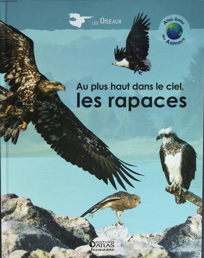 High in the sky, the birds of prey - Birds - 2005 - book