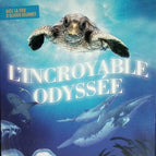 L'Incroyable odyssée - Nick Stringer - Blu-ray