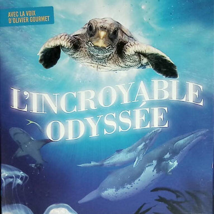 L'Incroyable odyssée - Nick Stringer - Blu-ray