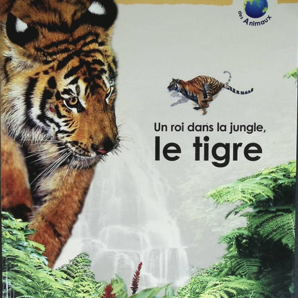 Un roi dans la jungle le tigre - Les grands mammifères - 2004 - livre