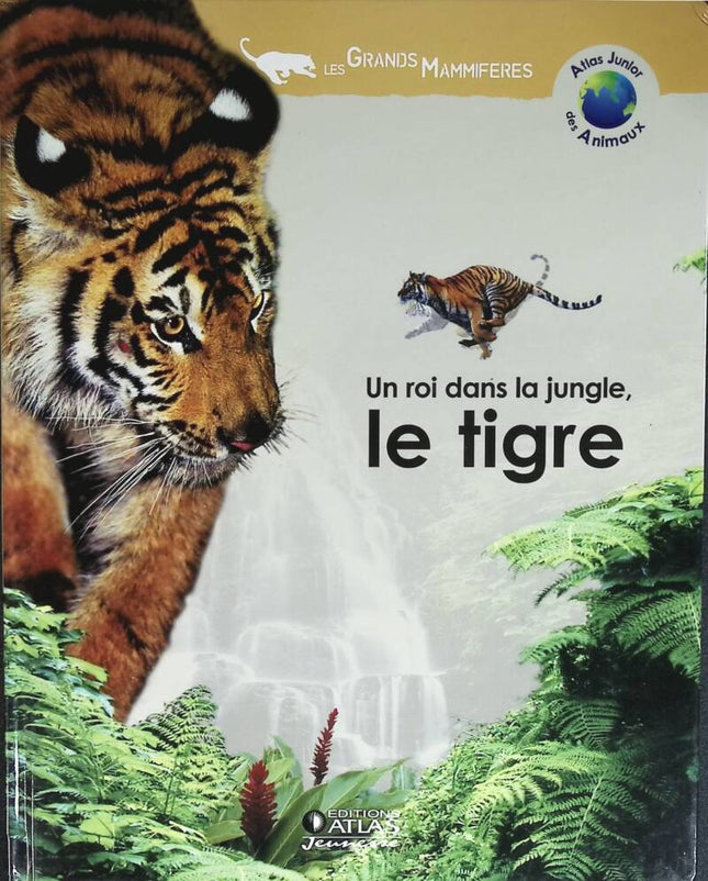 A King in the Jungle the Tiger - Large Mammals - 2004 - book