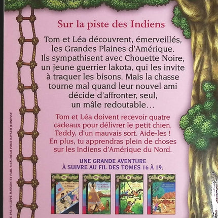 The Magic Treehouse - Volume 1 - Valley of the Dinosaurs - Mary Pope Osborne - book