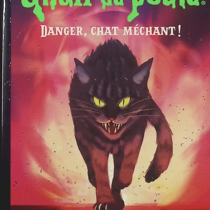 Chair de poule – Tome 15 - Danger, chat méchant ! - R.L. Stine - livre
