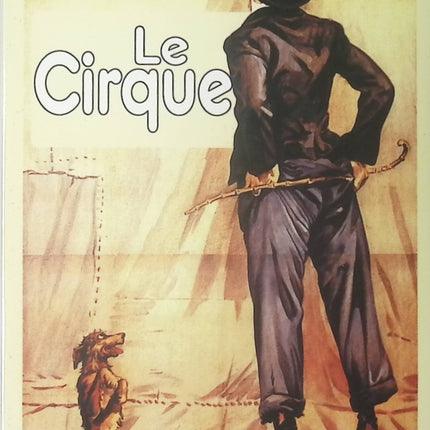 DVD - Chisum - John Wayne