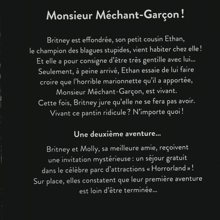 Goosebumps - Horrorland - Volume 1 - Mr. Bad Boy! - RL Stine - book