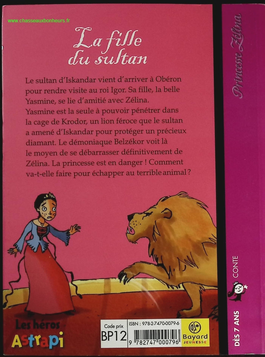 Someone Good - Françoise Bourdin - book