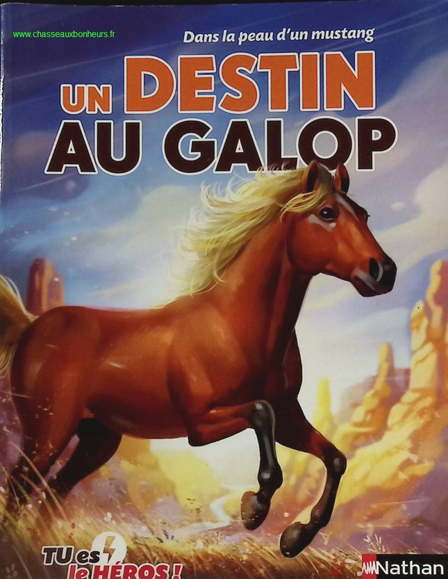 Un Destin Au Galop - Dans La Peau D'un Mustang - Tu Es Le Héros - livre