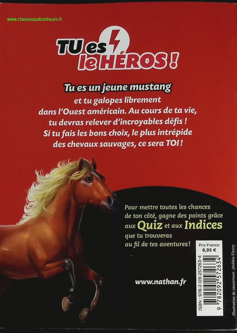 Someone Good - Françoise Bourdin - book