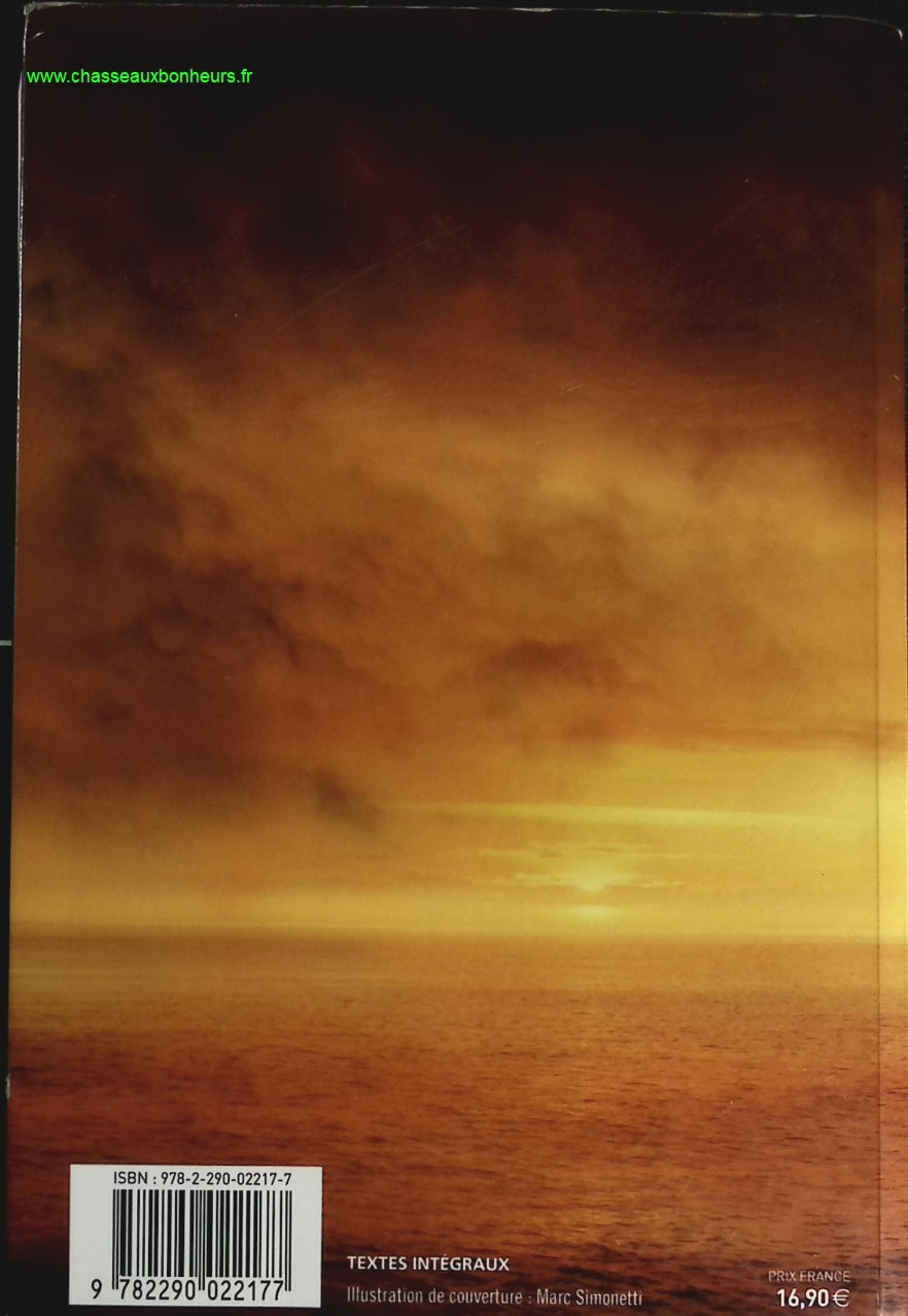 Someone Good - Françoise Bourdin - book