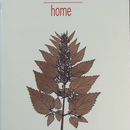 Jemand Gutes – Françoise Bourdin – Buch