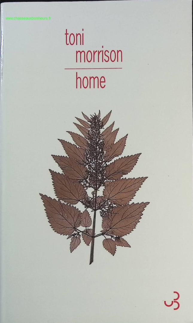 Home – Toni Morrison – Roman historique américain, retour de guerre et ségrégation - livre
