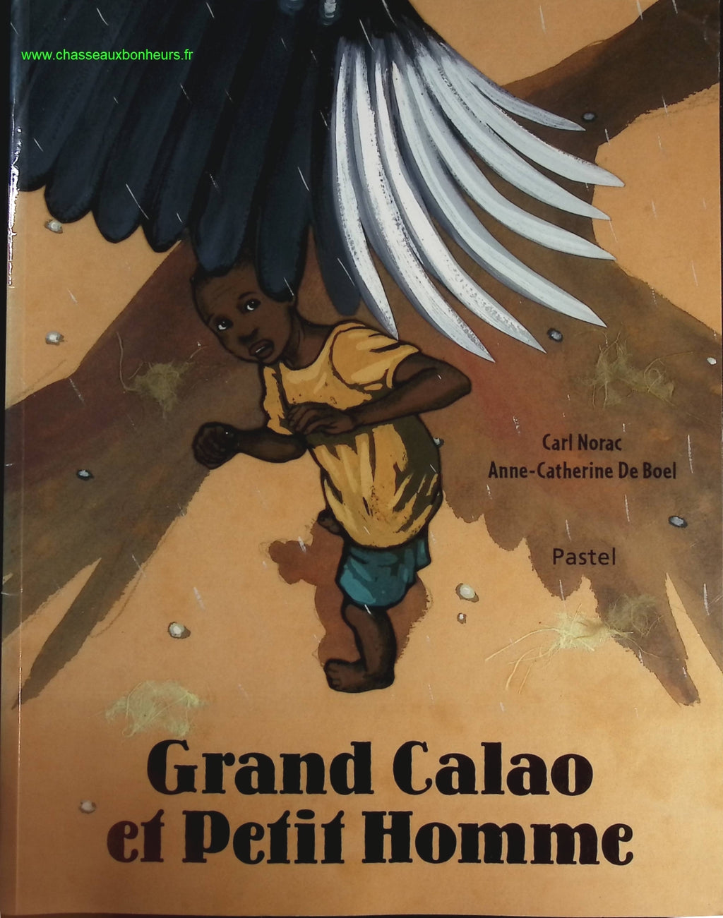 Someone Good - Françoise Bourdin - book