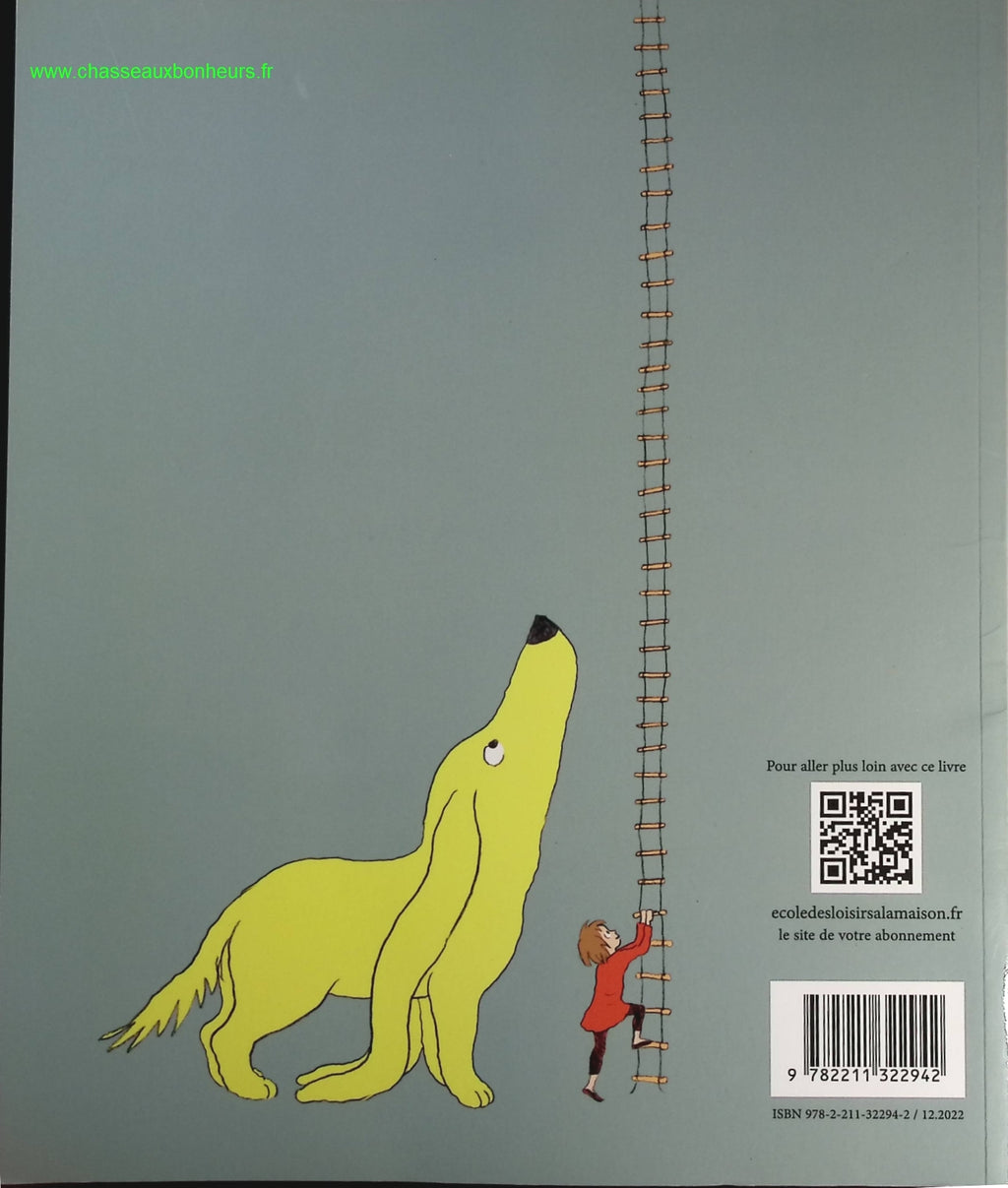 Someone Good - Françoise Bourdin - book