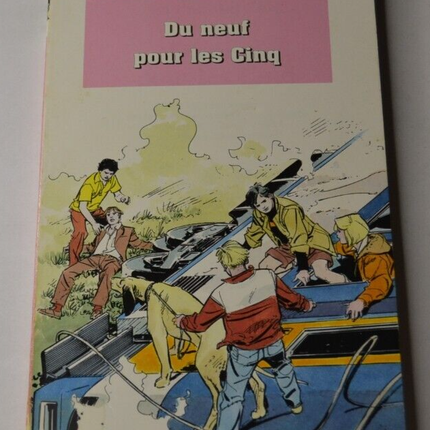 Neu für die Fünf - Buch