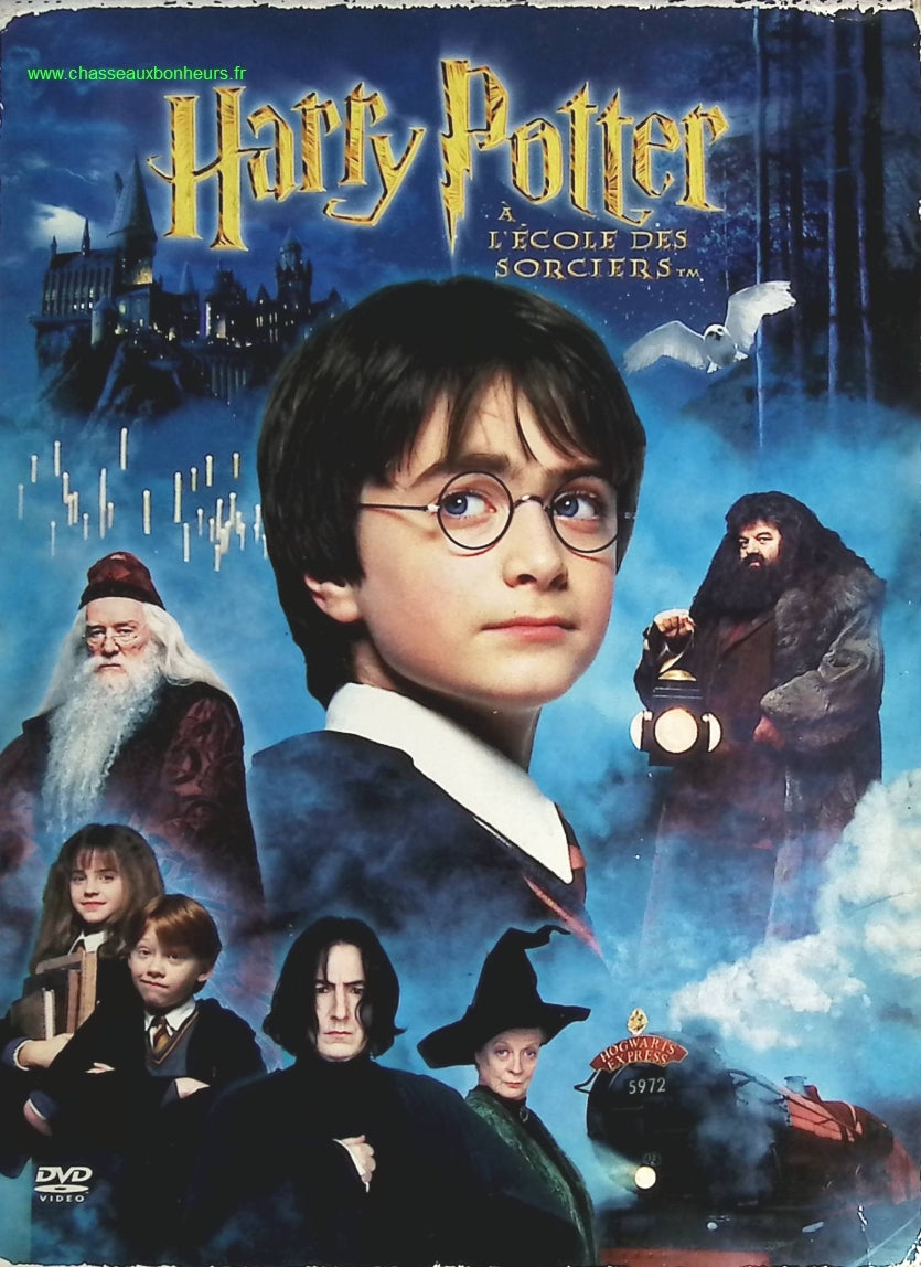 Harry Potter à l'école des sorciers - Daniel Radcliffe - DVD
