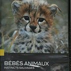DVD Baby Tiere Wilde Instinkte DVD NEU NATIONAL GEOGRAPHIC